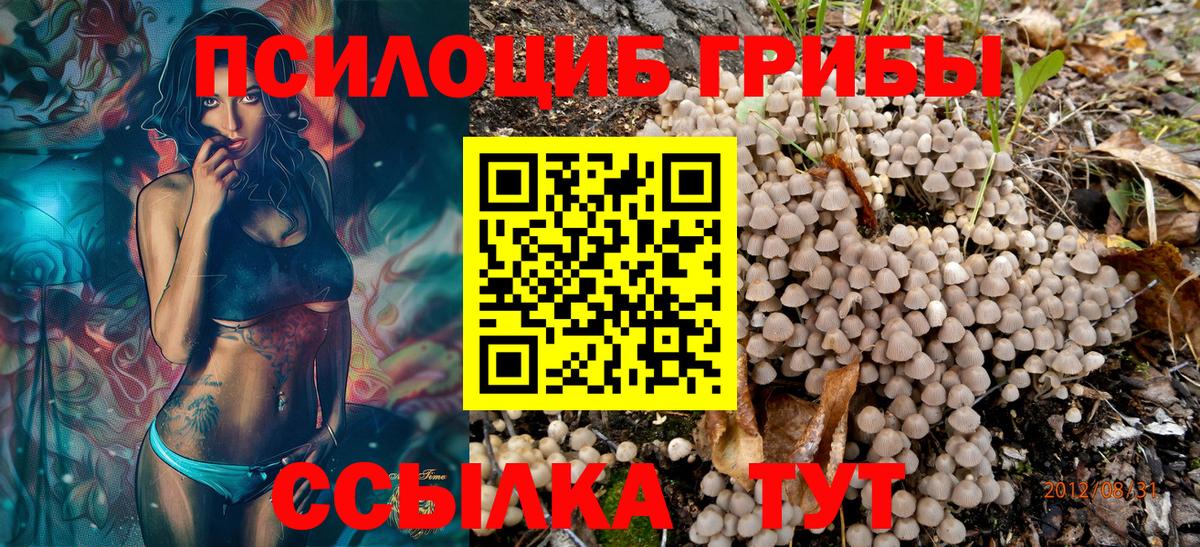 Галлюциногенные грибы мухоморы  Вход с VPN  купить закладку  Сосновый Бор 