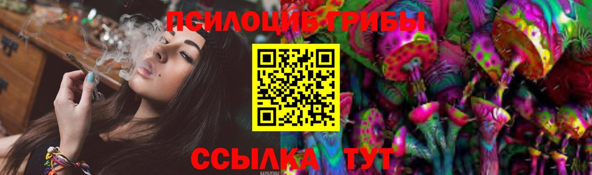 Псилоцибиновые грибы GOLDEN TEACHER Сосновый Бор